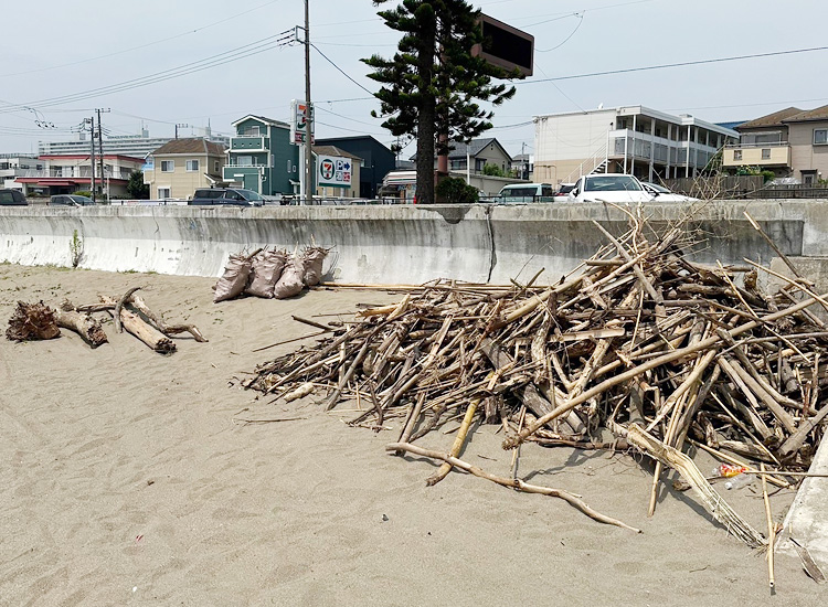 ビーチクリーン活動風景