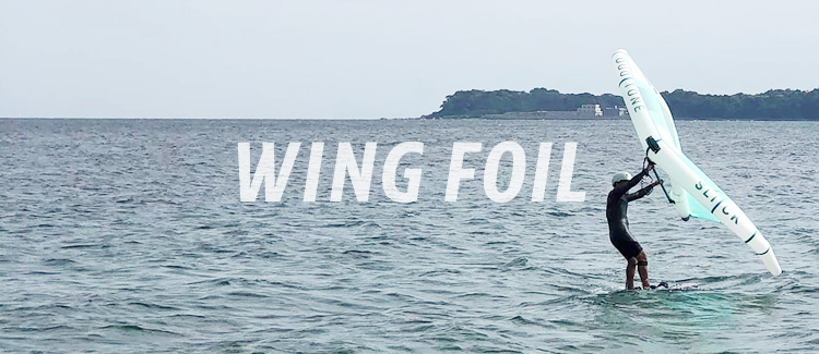 ウイングフォイル